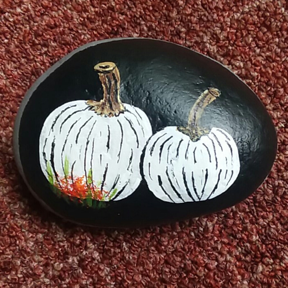 Hand Painted Rock